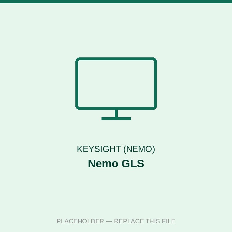Nemo Global License Server (GLS)
